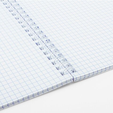 Тетрадь 48л А5 клетка гребень обложка картон Nature BRAUBERG 1/4/96 Тетрадь 48л А5 клетка гребень обложка картон Nature BRAUBERG 1/4/96