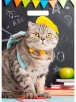 Пакет с вырубной ручкой (31,5х43)-50 Грэй Глосс Кот Тико 50/500 Пакет с вырубной ручкой (31,5х43)-50 Грэй Глосс Кот Тико 50/500