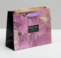 Пакет подарочный бумажный (22х17,5х8) ламинир Special for you 1/1