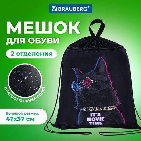 Мешок для обуви 47х37см с петлей карман на молнии Movie time BRAUBERG Мешок для обуви 47х37см с петлей карман на молнии Movie time BRAUBERG