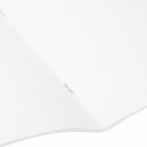 Альбом для рисования 24л А4 скоба Карпы Кои BRAUBERG 1/8/64