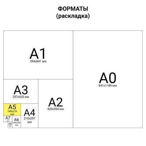 Тетрадь 48л А5 клетка обложка картон Животные BRAUBERG 1/10/100 (вывод)
