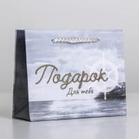 Пакет подарочный бумажный (15х12x5,5) ламинир Present for you 1/1200