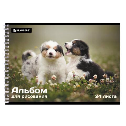 Альбом для рисования А4 24л гребень обложка картон BRAUBERG Питомцы 1/10/40