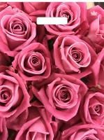 Пакет с вырубной ручкой (31х40)-60 Джейми ламинат Тико 50/500