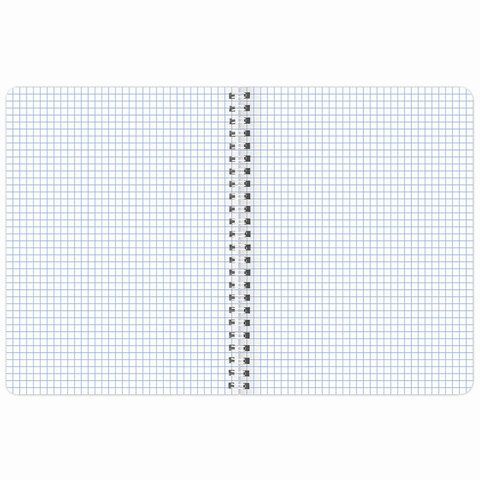 Тетрадь 48л А5 клетка гребень обложка картон Nature BRAUBERG 1/4/96 Тетрадь 48л А5 клетка гребень обложка картон Nature BRAUBERG 1/4/96