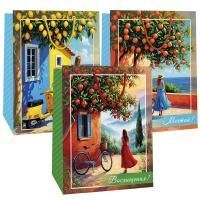 Пакет подарочный бумажный (26х32х13) Микc № 2 1/240