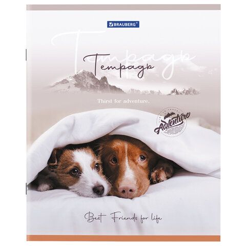 Тетрадь 48л А5 клетка Best Friends BRAUBERG 10/100