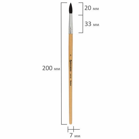 Кисть белка круглая №5 BRAUBERG  1/30