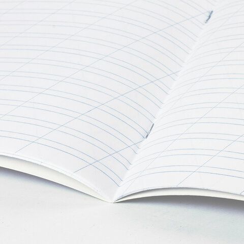 Тетрадь 12л линия косая с полями офсет ЗЕЛЕНАЯ обложка ПЗБМ 1/300 Тетрадь 12л линия косая с полями офсет ЗЕЛЕНАЯ обложка ПЗБМ 1/300