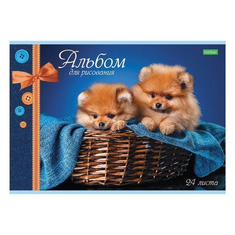 Альбом для рисования 24л А4 обложка офсет ассорти Хатбер 1/11 Альбом для рисования 24л А4 обложка офсет ассорти Хатбер 1/11
