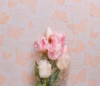 Ролик 70см х8м пленка полипропилен с рисунком Бабочки оранжевый 1/10 Ролик 70см х8м пленка полипропилен с рисунком Бабочки оранжевый 1/10