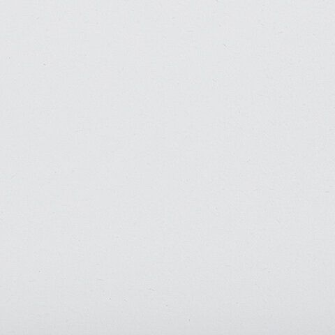 Альбом для рисования А4 24л гребень обложка картон BRAUBERG Питомцы 1/10/40