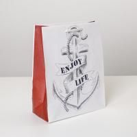 Пакет подарочный бумажный (18х23х8) ламинир Enjoy 1/1 Пакет подарочный бумажный (18х23х8) ламинир Enjoy 1/1