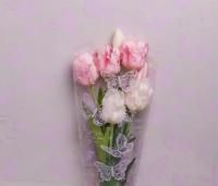 Ролик 70см х8м пленка полипропилен с рисунком Бабочки сиреневый 1/10 Ролик 70см х8м пленка полипропилен с рисунком Бабочки сиреневый 1/10