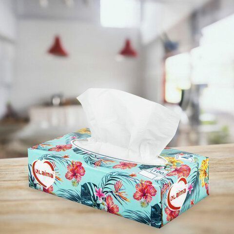 Салфетки косметические 2-сл в короб 20х20см (100шт) в картонном боксе Лайма 1/35 (клиент)