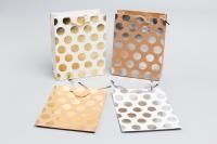 Пакет подарочный бумажный (18х23х8) с тиснением Люкс Кружочки 1/10 Пакет подарочный бумажный (18х23х8) с тиснением Люкс Кружочки 1/10