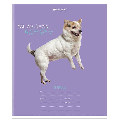 Тетрадь 18л линия обложка картон СОБАЧКИ BRAUBERG 1/20/200