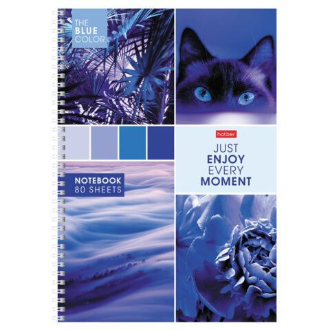 Тетрадь 80л А4 клетка гребень картон HATBER 1/4/28 Тетрадь 80л А4 клетка гребень картон HATBER 1/4/28