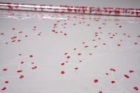 Ролик 70см х8м пленка полипропилен с рисунком Гипсофила бело-красный 1/10