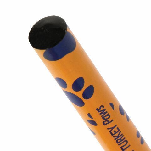 Карандаш ч/гр НВ ассорти дисплей BRAUBERG PREMIUM TURKEY Paws 181566 Карандаш ч/гр НВ ассорти дисплей BRAUBERG PREMIUM TURKEY Paws 181566