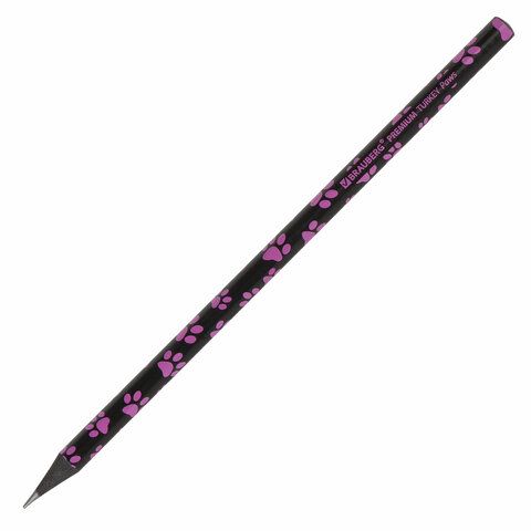 Карандаш ч/гр НВ ассорти дисплей BRAUBERG PREMIUM TURKEY Paws 181566