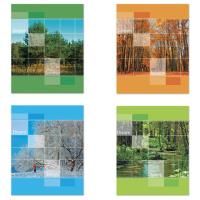 Тетрадь 48л А5 клетка, офсет №2 ЭКОНОМ Времена года STAFF 1/100