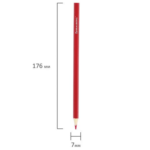 Карандаши цветные 12цв заточен, карт упак BRAUBERG My lovely dogs Забавные щенки 1/12/240 Карандаши цветные 12цв заточен, карт упак BRAUBERG My lovely dogs Забавные щенки 1/12/240