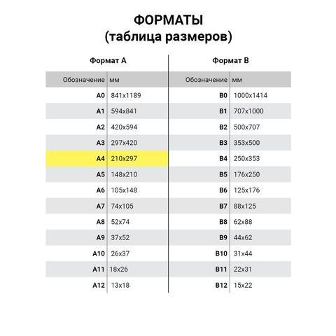 Бланк Авансовый отчет нов.образца (100шт) 1/10