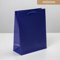 Пакет подарочный бумажный (18х23х8) ламинир Синий 1/300  Пакет подарочный бумажный (18х23х8) ламинир Синий 1/300