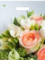 Пакет с вырубной ручкой (31х40)-60 Романтическое настроение ламинат Тико 50/500 Пакет с вырубной ручкой (31х40)-60 Романтическое настроение ламинат Тико 50/500