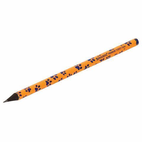 Карандаш ч/гр НВ ассорти дисплей BRAUBERG PREMIUM TURKEY Paws 181566