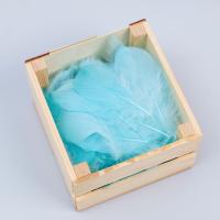 Наполнитель из перьев для шаров и подарков мятный 10-12см 8 г 1/360 Наполнитель из перьев для шаров и подарков мятный 10-12см 8 г 1/360